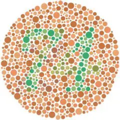 色覚異常 | 垂水駅前たけもと眼科